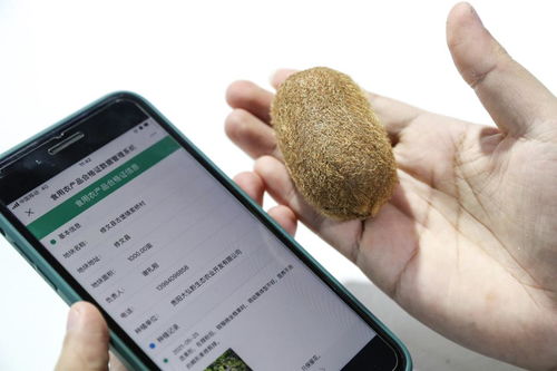 大數據賦能鄉村振興 技術推廣的新路徑